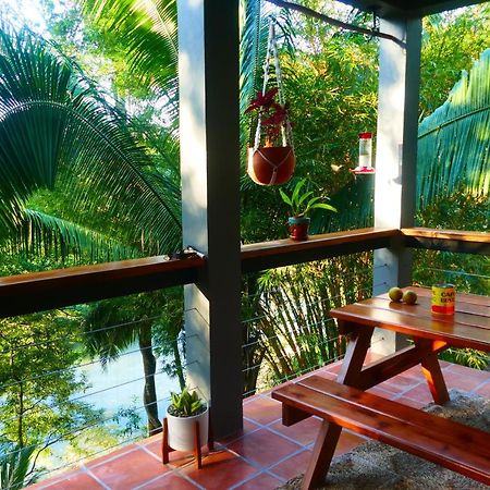 Riverhill Hideaway Monkey Fall Экстерьер фото
