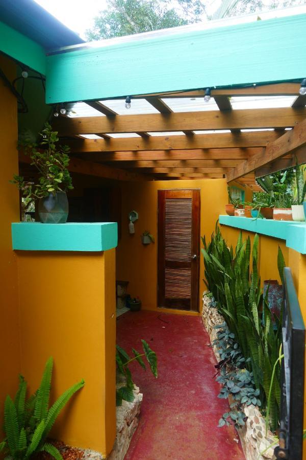 Riverhill Hideaway Monkey Fall Экстерьер фото
