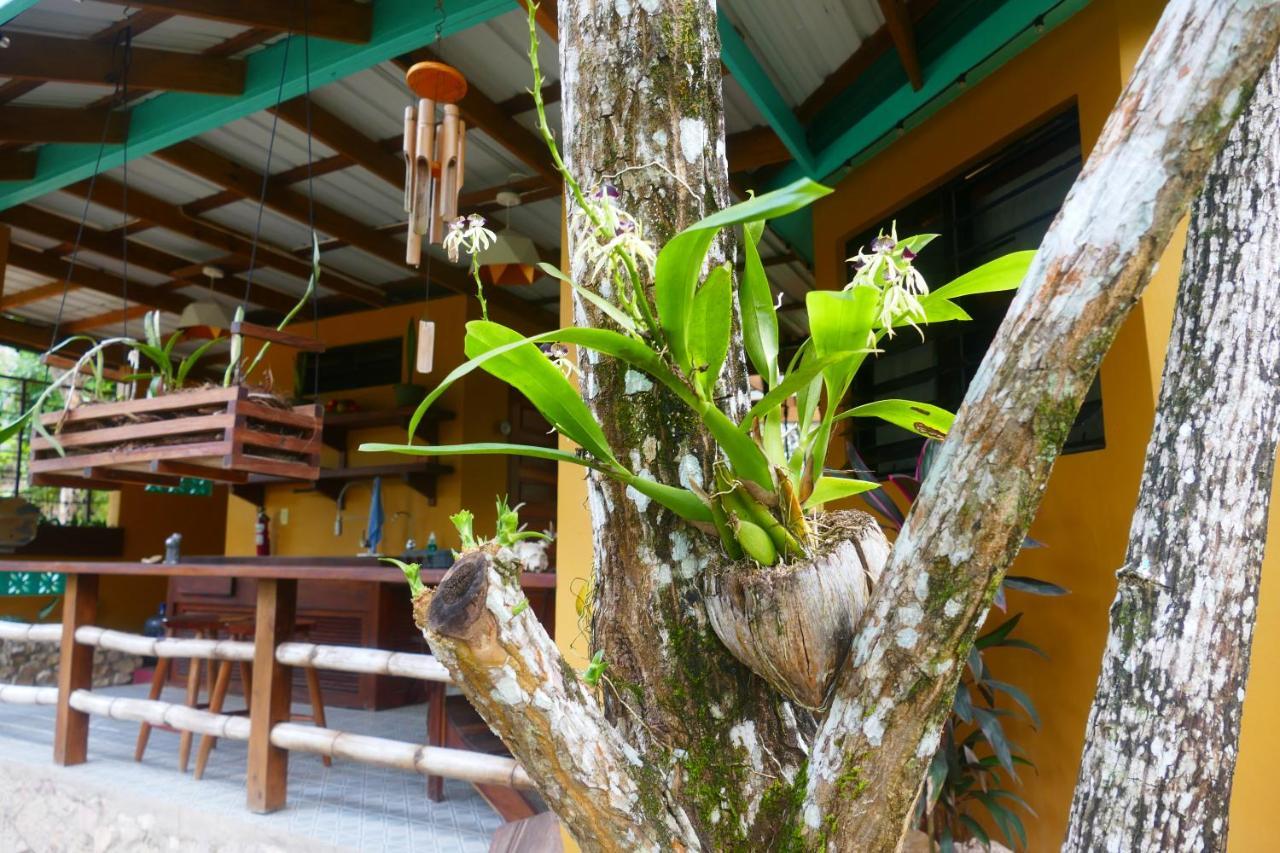 Riverhill Hideaway Monkey Fall Экстерьер фото