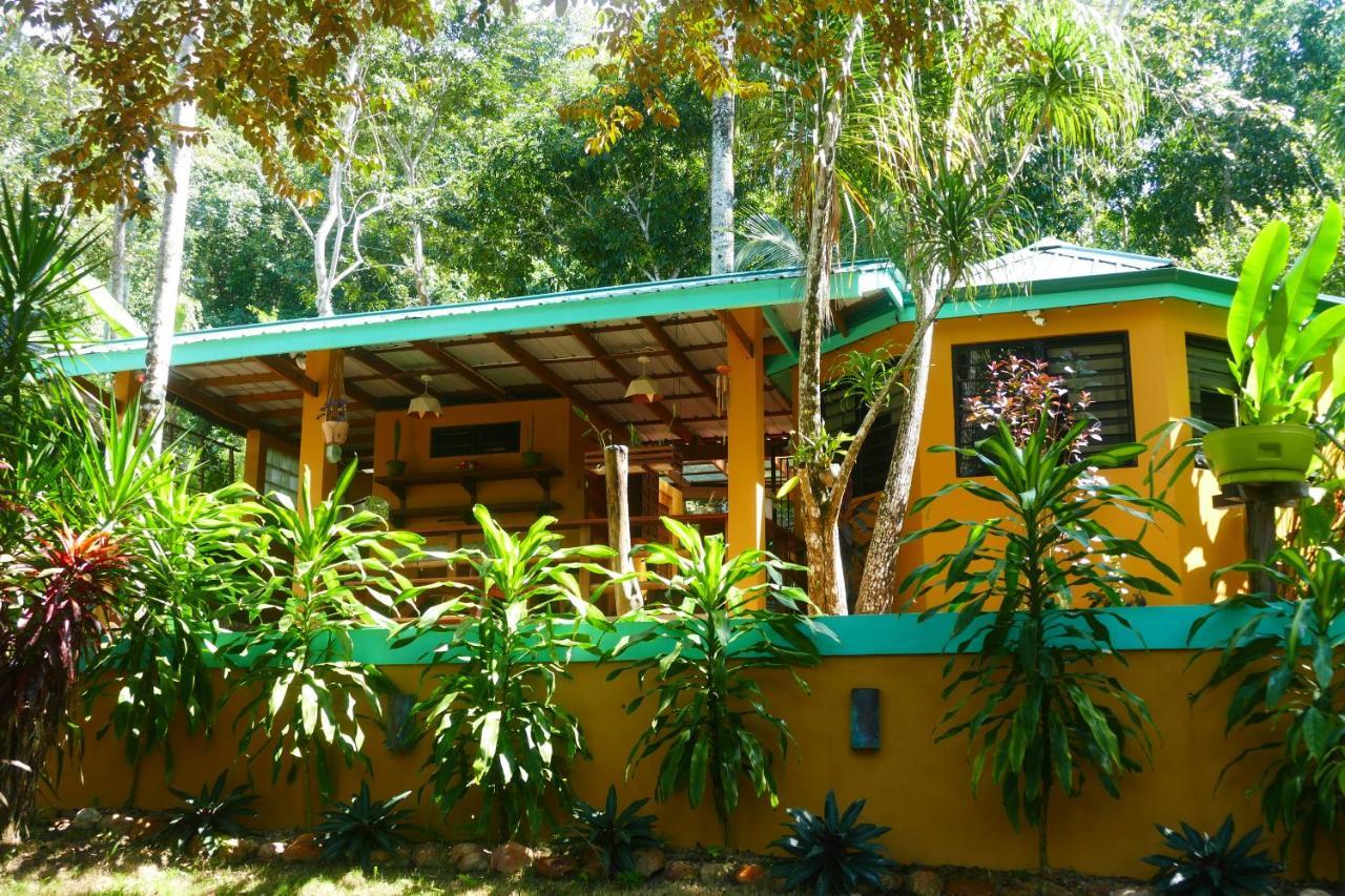 Riverhill Hideaway Monkey Fall Экстерьер фото