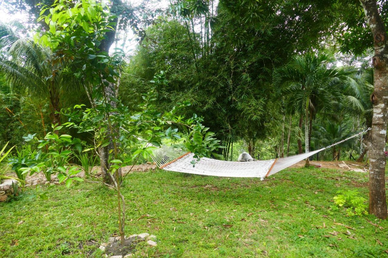 Riverhill Hideaway Monkey Fall Экстерьер фото