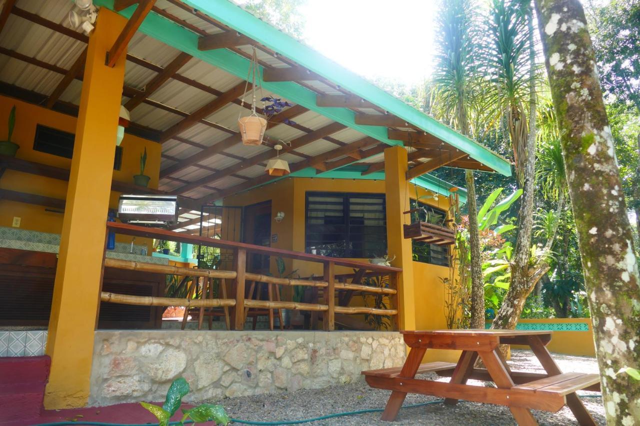 Riverhill Hideaway Monkey Fall Экстерьер фото