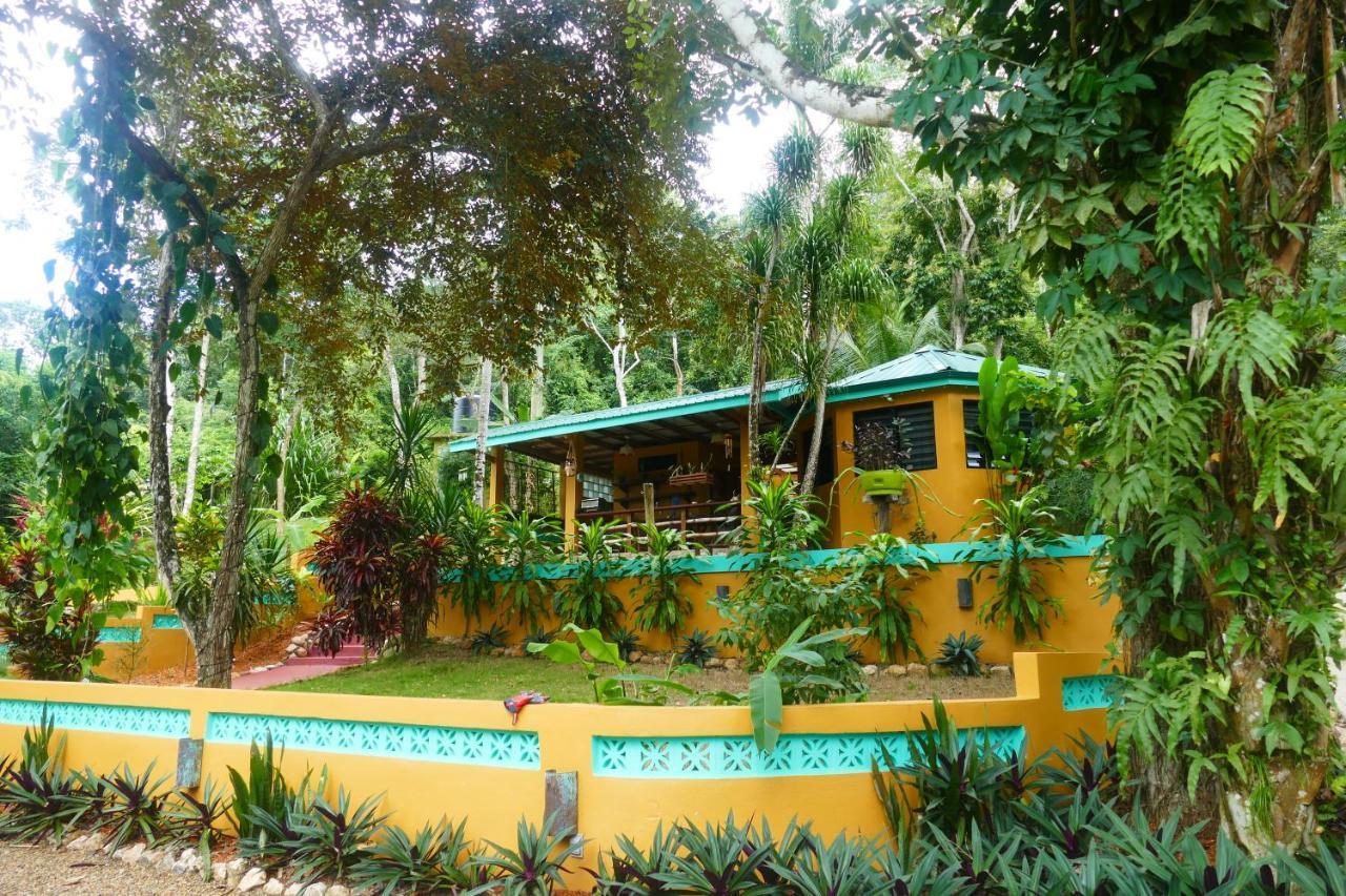 Riverhill Hideaway Monkey Fall Экстерьер фото