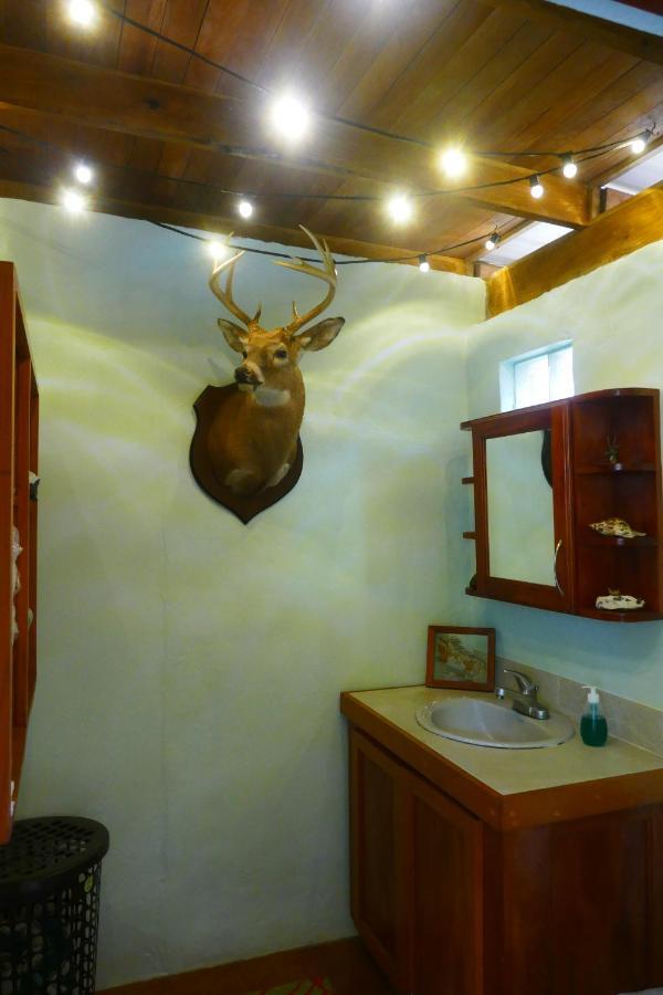 Riverhill Hideaway Monkey Fall Экстерьер фото